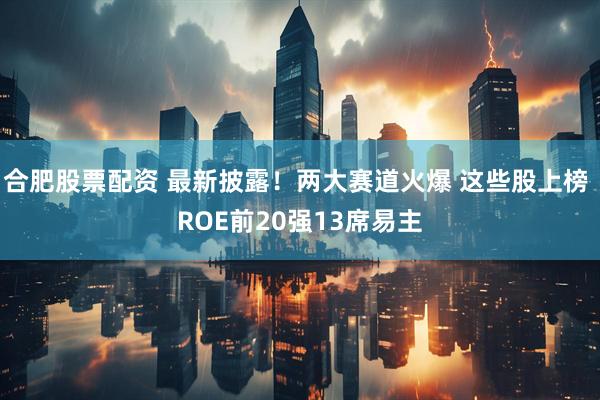合肥股票配资 最新披露!两大赛道火爆 这些股上榜 ROE前20强13席易主
